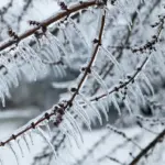 winter storm warning — CA news