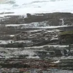 yellow warning - wind — CA news