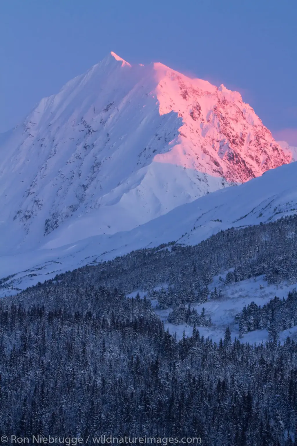 alaska — CA news