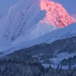 alaska — CA news
