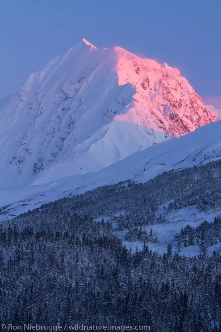 alaska — CA news