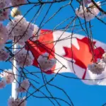 cic news — CA news