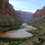 colorado river — CA news