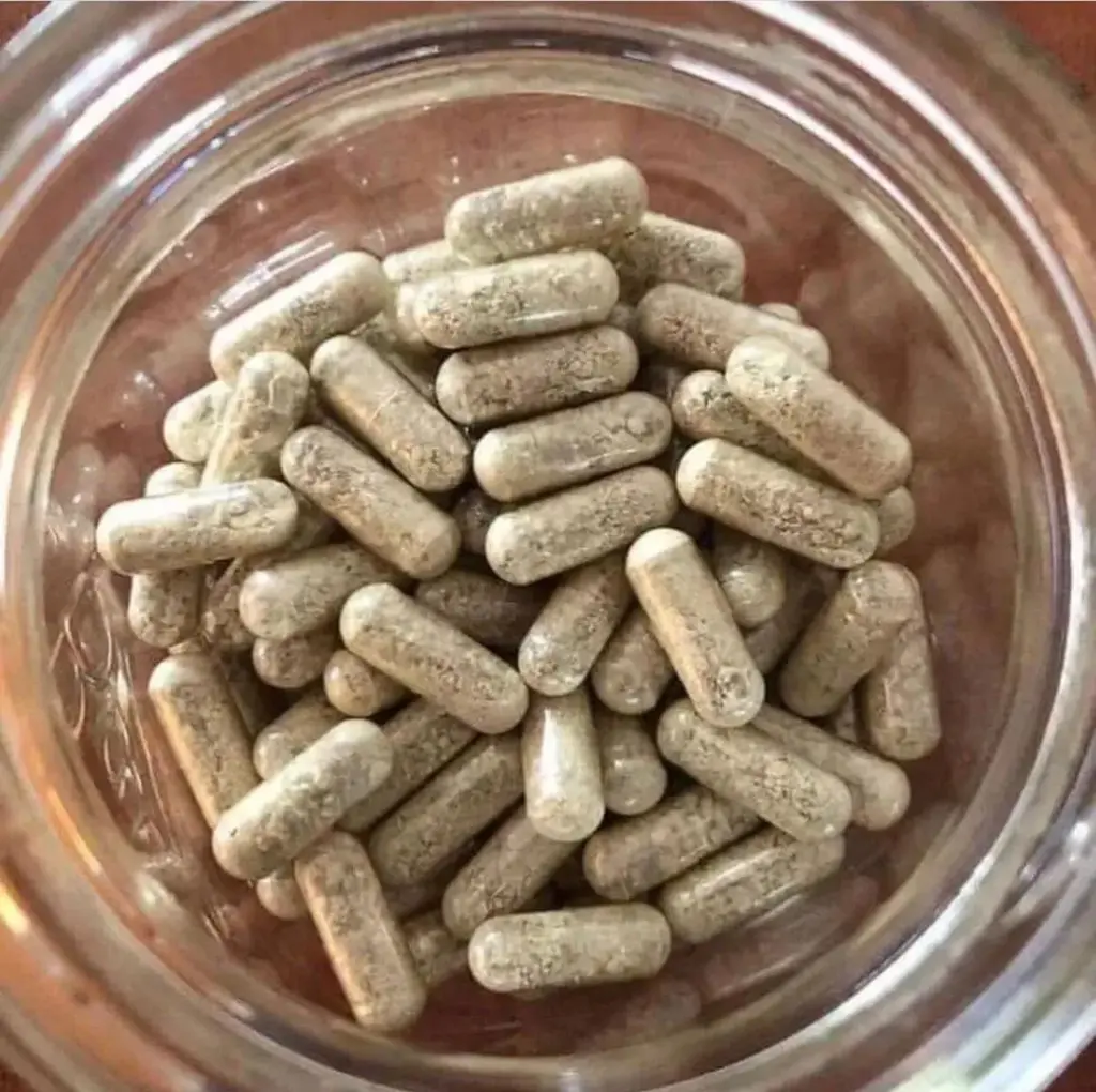 ibogaine — CA news