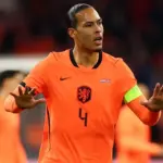 netherlands vs ecuador — CA news