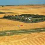 saskatchewan — CA news