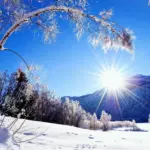 snow — CA news