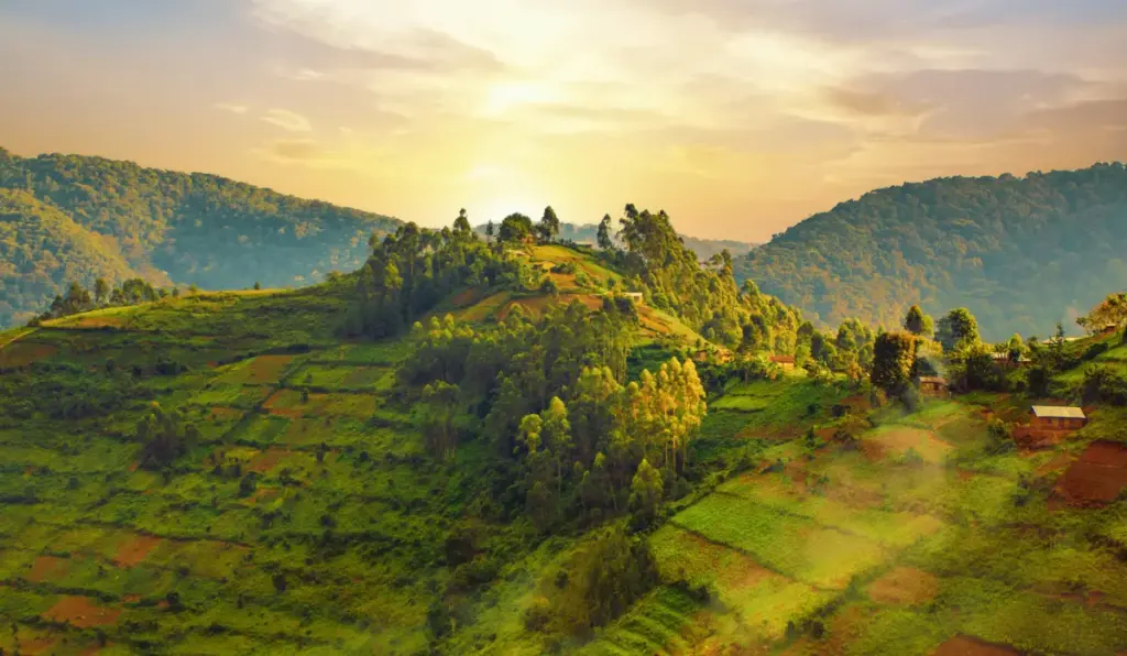 uganda — CA news