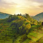 uganda — CA news