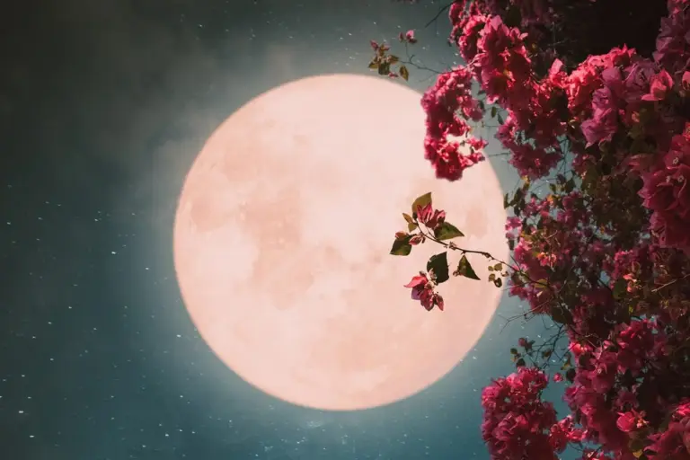 full moon may 2026 flower moon — CA news