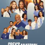 grey's anatomy — CA news