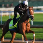 kentucky derby 2026 — CA news