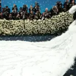 met gala — CA news