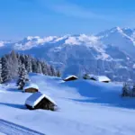 neige — CA news
