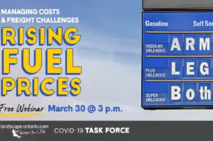 rising fuel costs travel — CA news